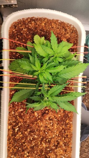 remove_image_metadata_07a95b1650daf47ccc86a55238a62682_66216304b9eef.jpg remove_image_metadata_07a95b1650daf47ccc86a55238a62682_66216304b9eef.jpg