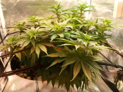 2024-04-20 112657.jpg