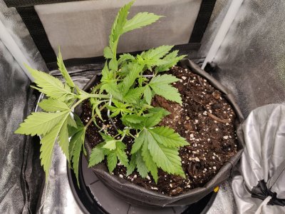 1000017909.jpg 1000017909.jpg