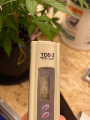 странный ppm.jpg