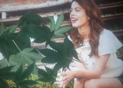 IMG_20240429_163954_940.jpg IMG_20240429_163954_940.jpg