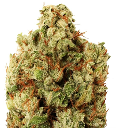 1714733027231.png 1714733027231.png