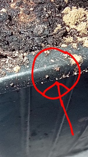 IMG-20240504-WA0002.jpg IMG-20240504-WA0002.jpg