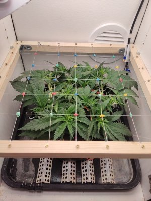 IMG_20240506_191520.jpg IMG_20240506_191520.jpg