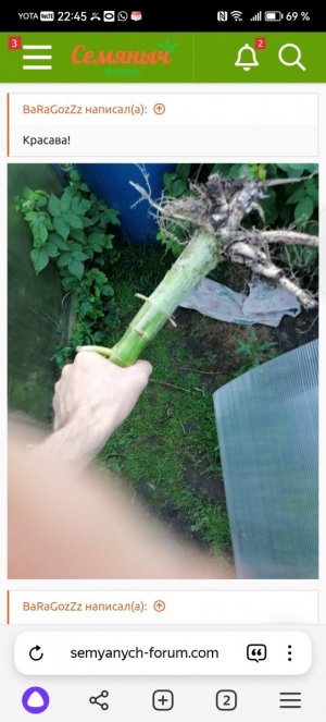 Screenshot_20240512_224510_com.yandex.browser.jpg Screenshot_20240512_224510_com.yandex.browser.jpg