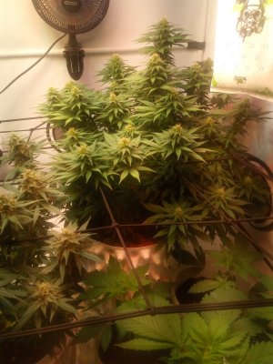 2024-05-16 133544.jpg