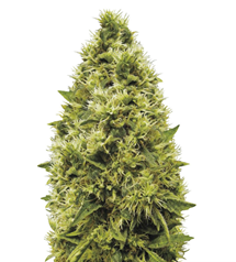 1715933177373.png 1715933177373.png