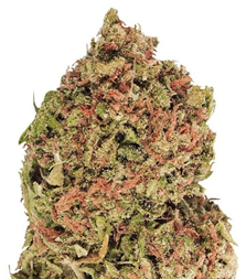 1715933180879.png 1715933180879.png