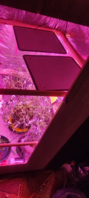 WhatsApp Image 2024-05-18 at 15.57.38.jpeg WhatsApp Image 2024-05-18 at 15.57.38.jpeg