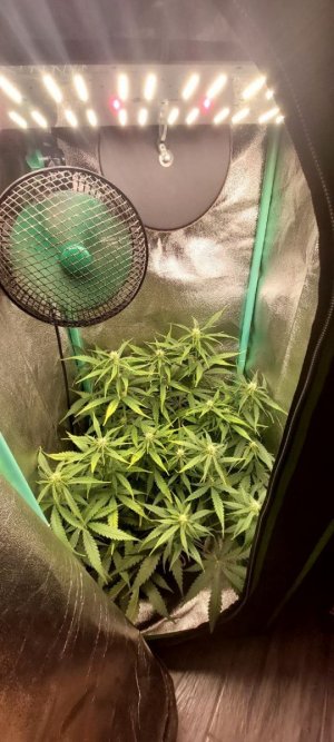 2024.05.20 - 42 день.jpg 2024.05.20 - 42 день.jpg