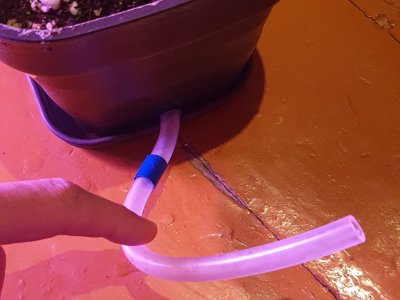 20240523_140116.jpg 20240523_140116.jpg