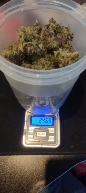 WhatsApp Image 2024-05-24 at 18.36.49.jpeg WhatsApp Image 2024-05-24 at 18.36.49.jpeg