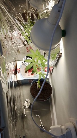 photo_2024-05-25_10-57-59 (1).jpg photo_2024-05-25_10-57-59 (1).jpg