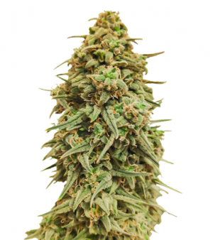 1716721171218.png 1716721171218.png