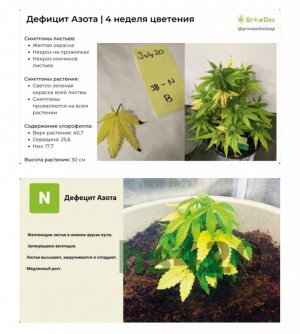 IMG_3571.jpeg IMG_3571.jpeg