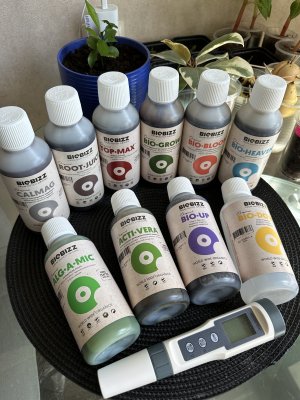 IMG_3601.jpeg IMG_3601.jpeg