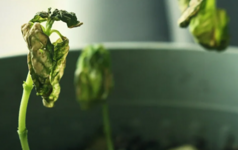 1645545828511.png 1645545828511.png