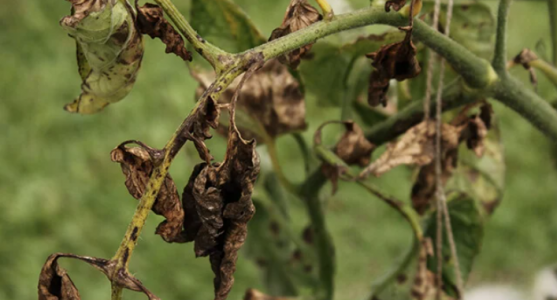 1645545883883.png 1645545883883.png