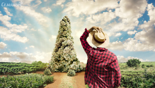 1645632276361.png 1645632276361.png