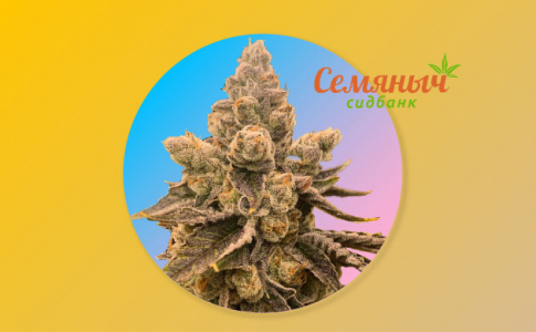 1645632312932.png 1645632312932.png