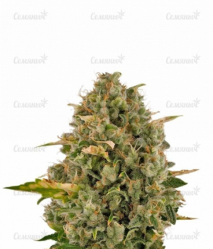 1645633041536.png 1645633041536.png