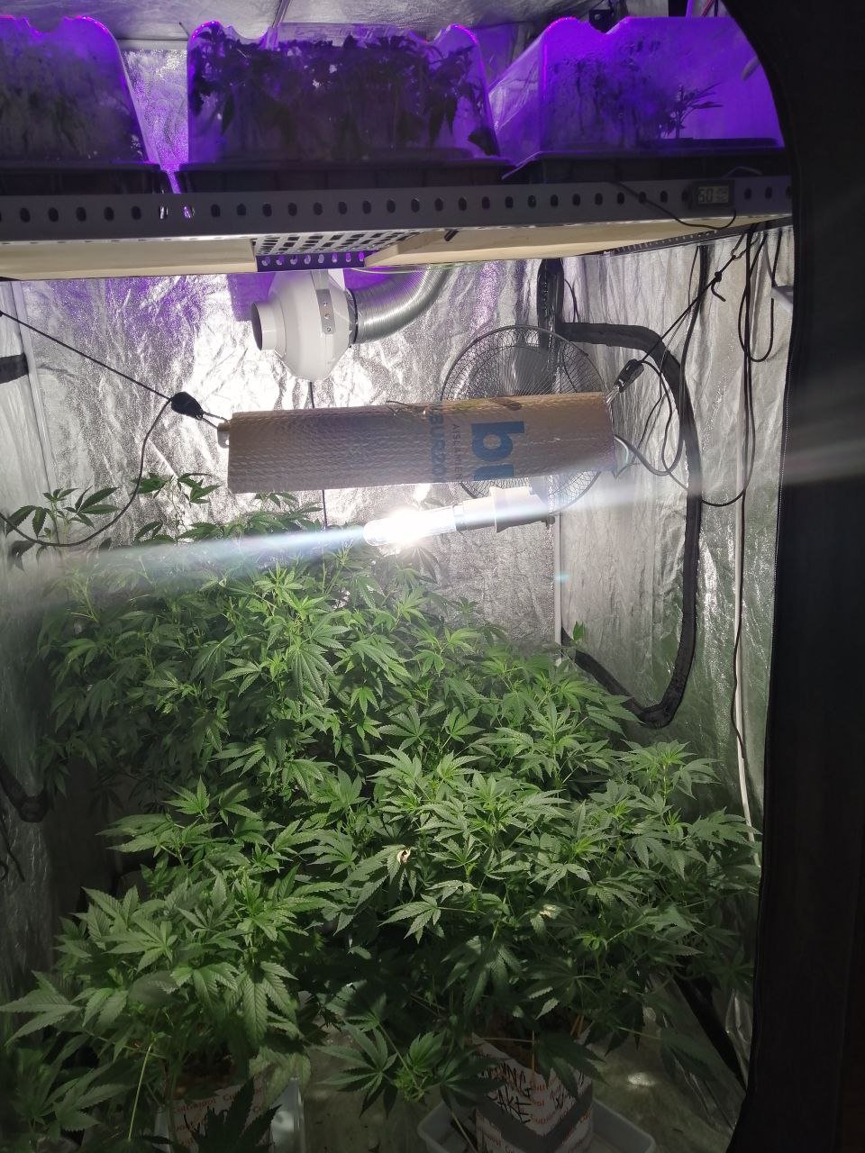 IMG_20220224_194335_427.jpg IMG_20220224_194335_427.jpg