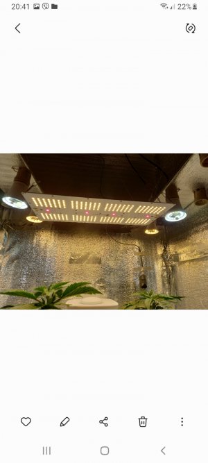 Screenshot_20220227-204140_Gallery.jpg Screenshot_20220227-204140_Gallery.jpg