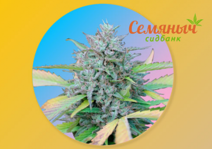 1645979112014.png 1645979112014.png