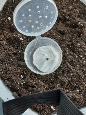 20220301_145829.jpg 20220301_145829.jpg