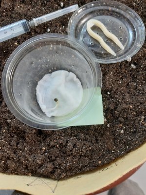 20220301_145750.jpg 20220301_145750.jpg