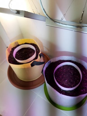 20220302_095303.jpg 20220302_095303.jpg