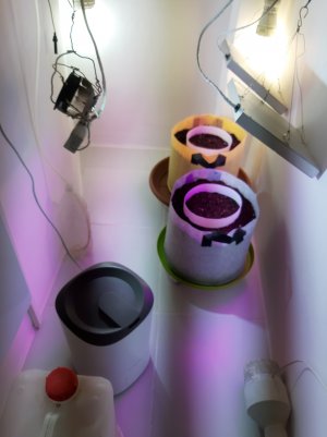 20220302_095241.jpg 20220302_095241.jpg