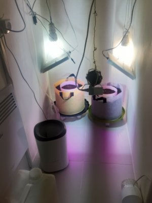 20220302_095420.jpg 20220302_095420.jpg