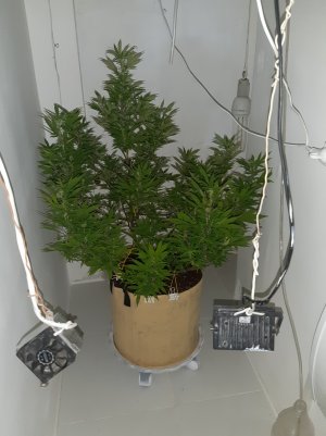 20220302_095522.jpg 20220302_095522.jpg