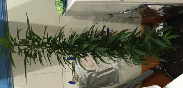 1646238050345.png 1646238050345.png