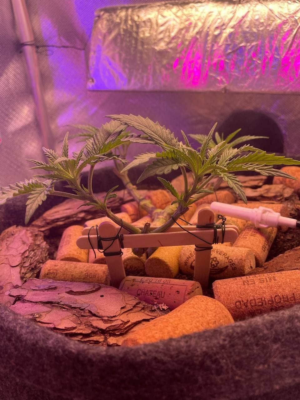 03.03(1).jpg 03.03(1).jpg