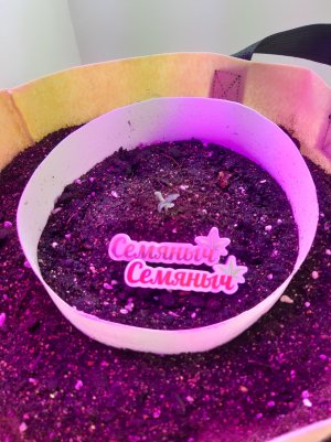 20220305_125109.jpg 20220305_125109.jpg