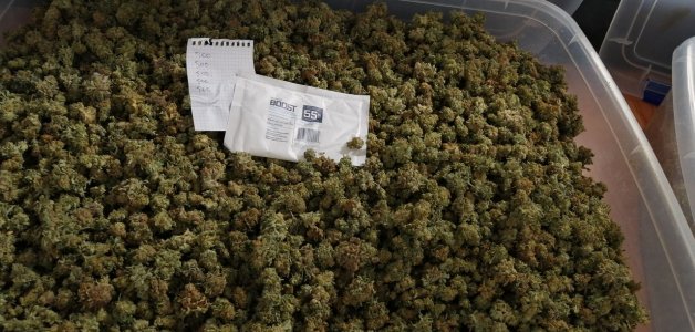 IMG_20220305_190921_332.jpg IMG_20220305_190921_332.jpg