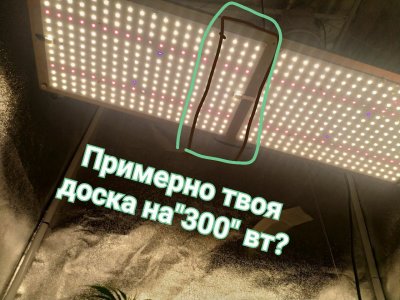 IMG_20220308_084229_069.jpg IMG_20220308_084229_069.jpg