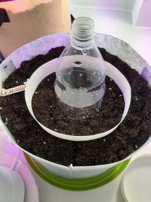 20220309_104558.jpg 20220309_104558.jpg