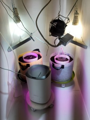 20220309_104629.jpg 20220309_104629.jpg