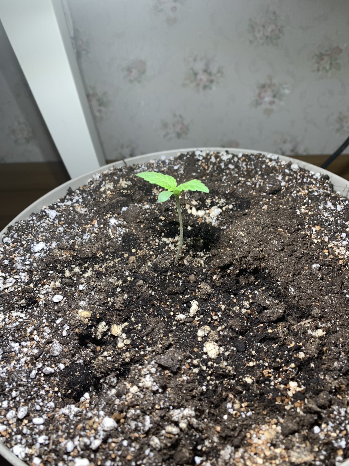 AAADF630-A2D8-4114-A377-6DBE0C75A4BB.jpeg AAADF630-A2D8-4114-A377-6DBE0C75A4BB.jpeg