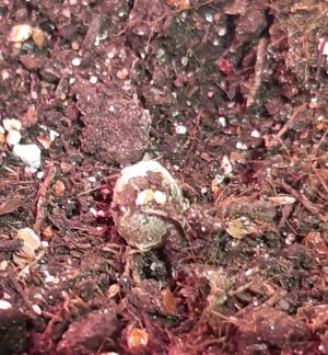 20220311_090947.jpg 20220311_090947.jpg