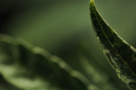 1647200248361.png 1647200248361.png