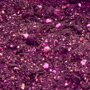 20220314_101529.jpg 20220314_101529.jpg