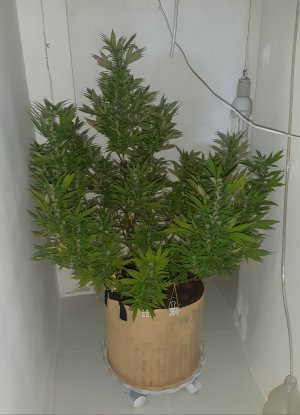 20220314_112436.jpg 20220314_112436.jpg