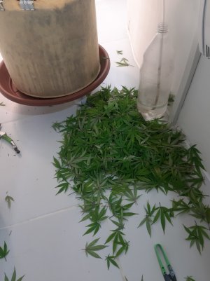 20220314_120223.jpg 20220314_120223.jpg