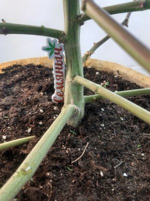 20220314_120308.jpg 20220314_120308.jpg