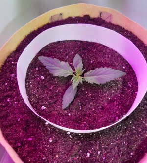 20220315_093427.jpg 20220315_093427.jpg