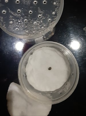 20220315_093300.jpg 20220315_093300.jpg